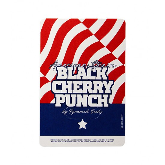 Black Cherry Punch fem (Py)