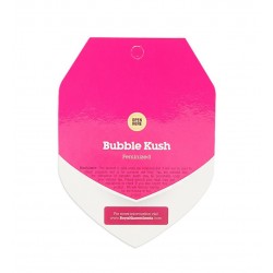 Bubble Kush fem (RlQn)
