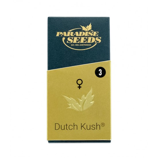 Dutch Kush fem (P)