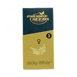 Jacky White fem (P)
