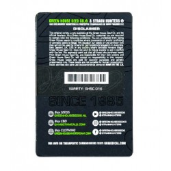 HighCloudZ Auto (Feminised) autofem (GHS) NEW 2024