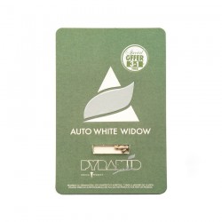 Auto White Widow autofem (Py)