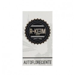 Klementine Auto autofem (Rk)