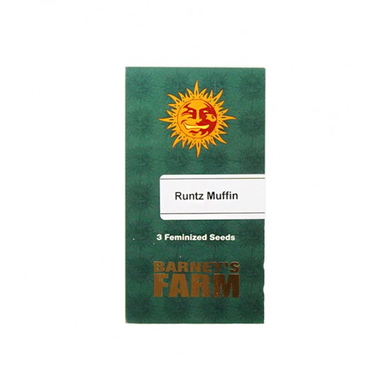 Runtz Muffin fem (Brn)