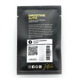 Smoothie Auto autofem (FsBd) NEW 2019